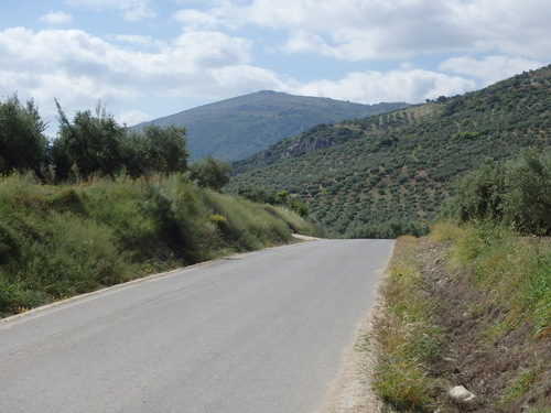 The road to Fuente Alhama.